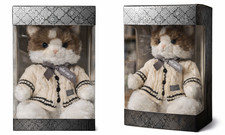 ✨ Taylor Swift Folklore