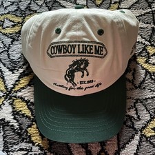 Taylor Swift Cowboy Like Me